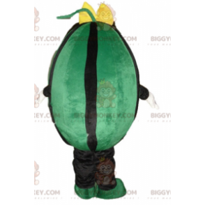 Traje de mascote gigante de melancia verde e preta BIGGYMONKEY™