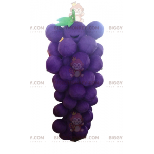 Disfraz de mascota Racimo de uvas gigante morado y verde