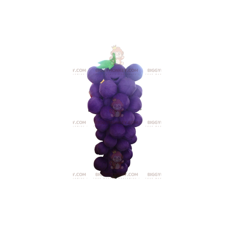 Disfraz de mascota Racimo de uvas gigante morado y verde