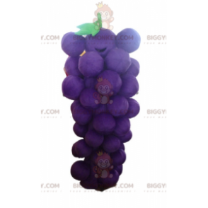 Disfraz de mascota Racimo de uvas gigante morado y verde