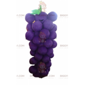 Traje de mascote gigante roxo e verde de cacho de uvas