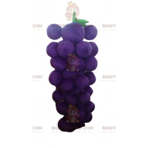 Traje de mascote gigante roxo e verde de cacho de uvas