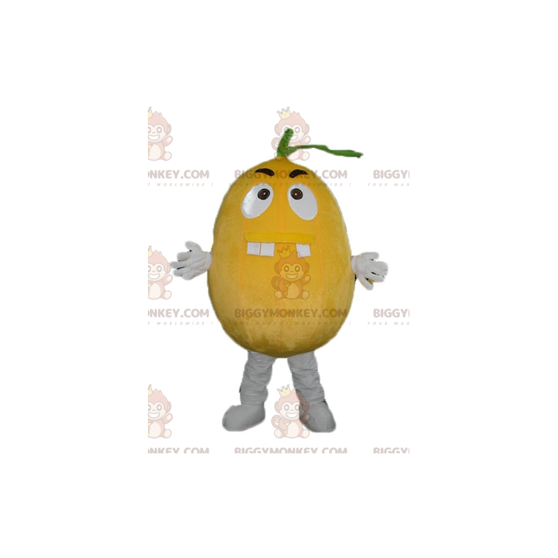 Costume de mascotte BIGGYMONKEY™ d'orange de citron géant à
