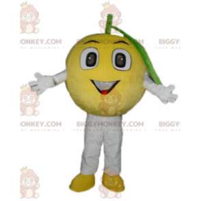 Suloinen All Round Lemon BIGGYMONKEY™ maskottiasu - Hedelmän maskotti - BIGGYMONKEY_03826 - BiggyMonkey.com