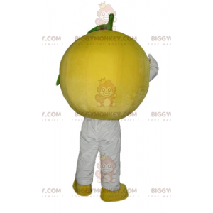 Cute All Round Lemon BIGGYMONKEY™ Mascot Costume –