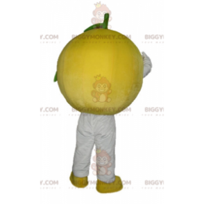 Cute All Round Lemon BIGGYMONKEY™ Mascot Costume –