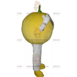 Suloinen All Round Lemon BIGGYMONKEY™ maskottiasu - Hedelmän maskotti - BIGGYMONKEY_03826 - BiggyMonkey.com