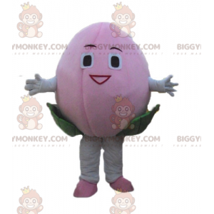 Fantasia de mascote de flor de lichia gigante de frutas rosa