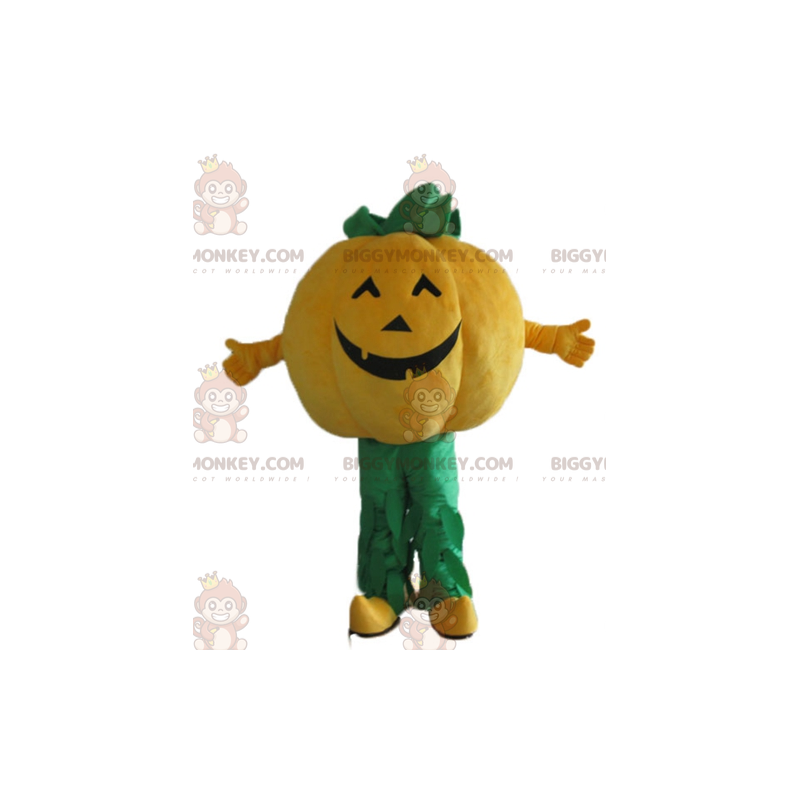 Costume de mascotte BIGGYMONKEY™ de citrouille orange et verte Costume de mascotte BIGGYMONKEY™ de citrouille orange et verte