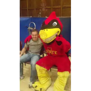 Rot-gelber und schwarzer Superhelden-Vogel BIGGYMONKEY™