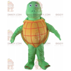 Very Successful All Round Orange and Green Turtle BIGGYMONKEY™