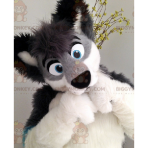 Traje de mascote de cachorro peludo cinza preto e azul