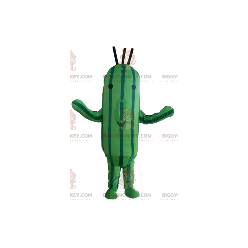 Kostým maskota BIGGYMONKEY™ se dvěma odstíny zelené cukety a Kostým maskota BIGGYMONKEY™ se dvěma odstíny zelené cukety a