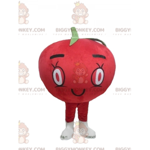Słodki, okrągły kostium maskotki z czerwonym pomidorem