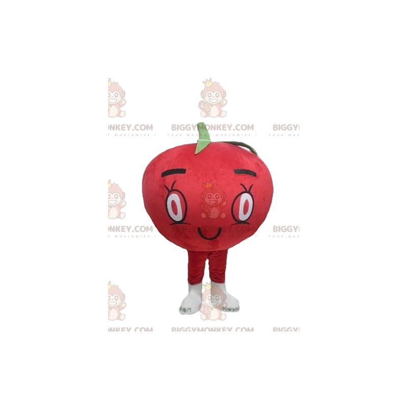 Cute All Round Giant Red Tomato BIGGYMONKEY™ Mascot Costume –