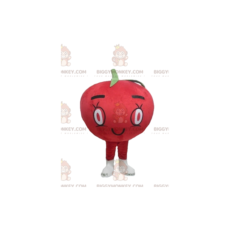 Słodki, okrągły kostium maskotki z czerwonym pomidorem Słodki, okrągły kostium maskotki z czerwonym pomidorem