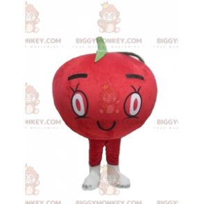 Roztomilý všestranný kostým maskota BIGGYMONKEY™ z obřího