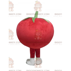 Cute All Round Giant Red Tomato BIGGYMONKEY™ Mascot Costume -