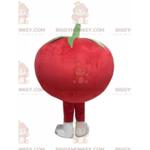 Cute All Round Giant Red Tomato BIGGYMONKEY™ Mascot Costume -