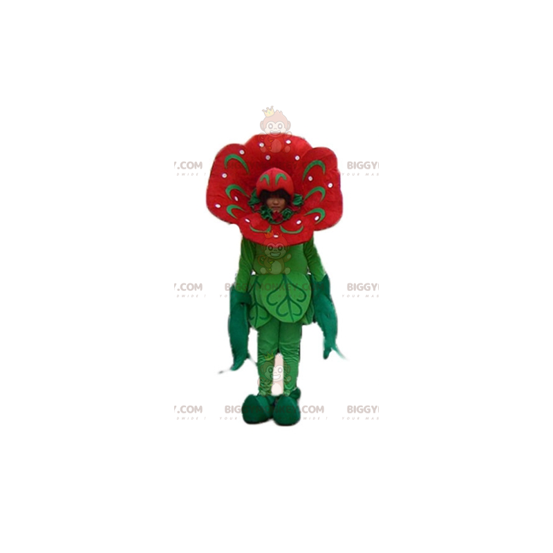 Kostým maskota obřího tulipánového červeného a zeleného květu