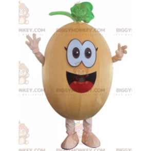 Disfraz de mascota BIGGYMONKEY™ de Calabaza de melón sonriente divertida - Mascota vegetal - BIGGYMONKEY_04206 - BiggyMonkey.com