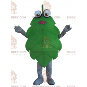 Costume de mascotte BIGGYMONKEY™ de feuille verte géante et