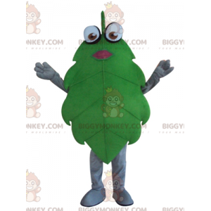 Fantasia de mascote de folha verde gigante engraçada