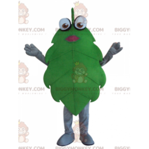 Αστεία στολή μασκότ με Giant Green Leaf BIGGYMONKEY™ - Φυτέψτε μασκότ - BIGGYMONKEY_04212 - BiggyMonkey.com