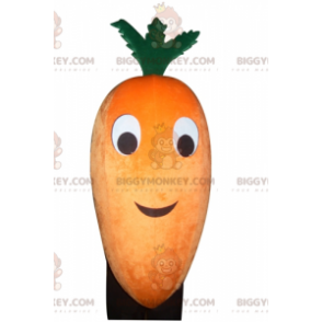 Giant Orange and Green Carrot BIGGYMONKEY™ Mascot Costume -