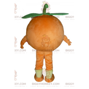 Giant Orange BIGGYMONKEY™ Mascot Costume. Fruity Dessert