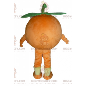 Kostým maskota Giant Orange BIGGYMONKEY™. Ovocný dezert