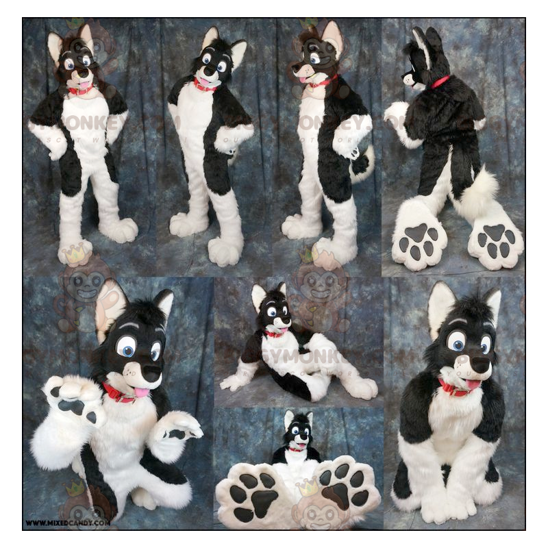 Black and White Dog BIGGYMONKEY™ Mascot Costume – Black and White Dog BIGGYMONKEY™ Mascot Costume –