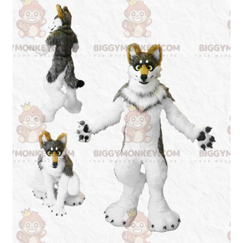 Costume mascotte cane tricolore peloso BIGGYMONKEY™ - Costume mascotte cane tricolore peloso BIGGYMONKEY™ -