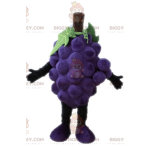 Gigantische tros druiven BIGGYMONKEY™ mascottekostuum. Fruit