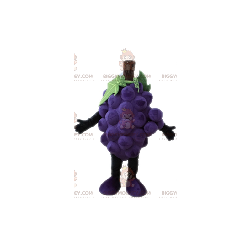 Gigantisk drueklase BIGGYMONKEY™ maskotkostyme. Frukt BIGGYMONKEY™ maskotkostyme - Frukt maskot - BiggyMonkey.com