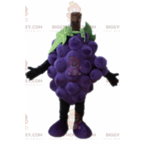 Costume de mascotte BIGGYMONKEY™ de grappe de raisin géante.