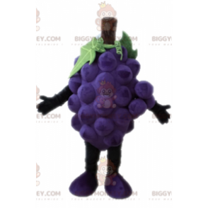 Gigantische tros druiven BIGGYMONKEY™ mascottekostuum. Fruit
