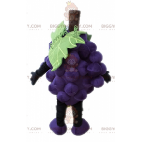 Costume de mascotte BIGGYMONKEY™ de grappe de raisin géante.