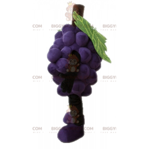 Gigantisk drueklase BIGGYMONKEY™ maskotkostyme. Frukt BIGGYMONKEY™ maskotkostyme - Frukt maskot - BiggyMonkey.com