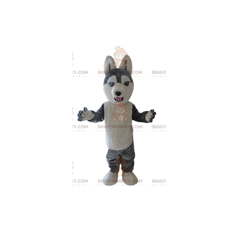 Husky BIGGYMONKEY™ mascot costume. Gray and White Wolf Dog