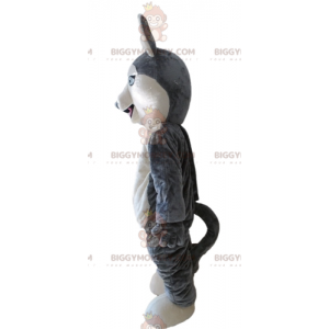 Husky BIGGYMONKEY™ mascot costume. Gray and White Wolf Dog