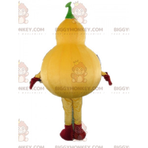 Giant Squash BIGGYMONKEY™ Mascot Costume. Giant Pumpkin