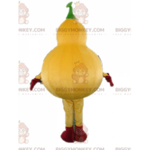 Giant Squash BIGGYMONKEY™ Mascot Costume. Giant Pumpkin