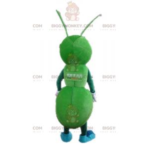 Gigantische groene mier BIGGYMONKEY™ mascottekostuum. Groen