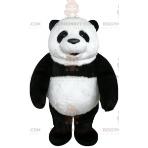 Sehr schönes und realistisches schwarz-weißes Panda