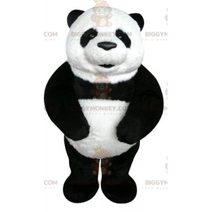 Meget smuk og realistisk sort og hvid panda BIGGYMONKEY™ maskot