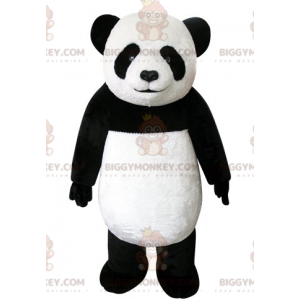 Sehr schönes und realistisches schwarz-weißes Panda