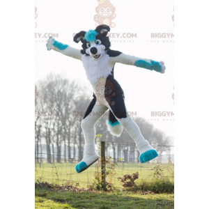 Zwart-blauw-witte hond BIGGYMONKEY™ mascottekostuum -