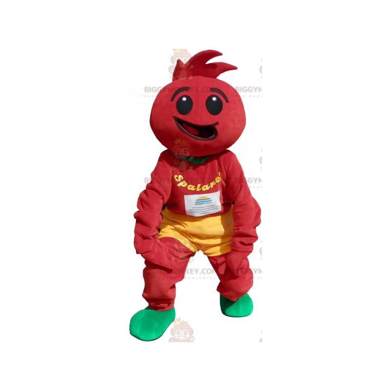 Tomatenkostuum. tomatenkostuum - Biggymonkey.com Tomatenkostuum. tomatenkostuum - Biggymonkey.com