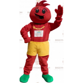 Tomato costume. tomato costume – Biggymonkey.com